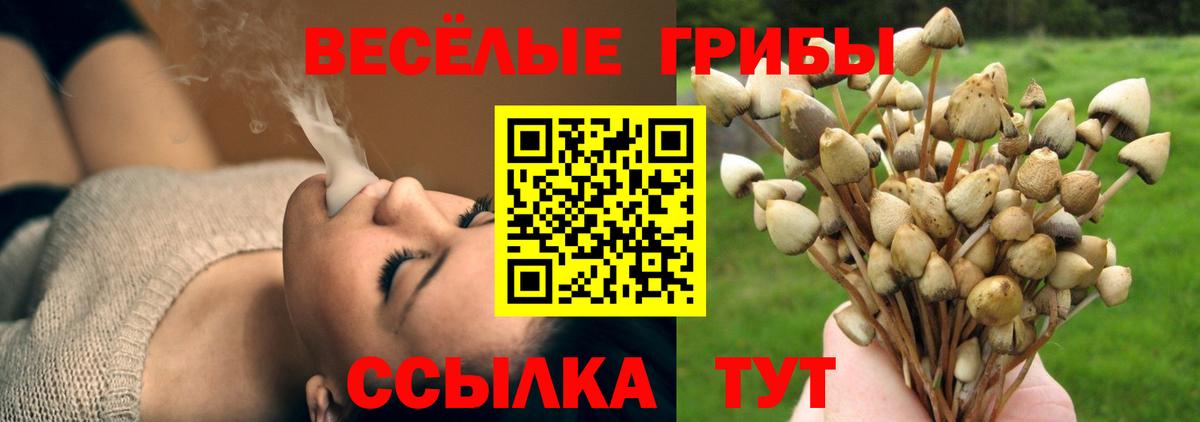 Топки  Псилоцибиновые грибы MAGIC MUSHROOMS  купить наркотик  Псилоцибиновые грибы мухоморы  Вход с VPN 